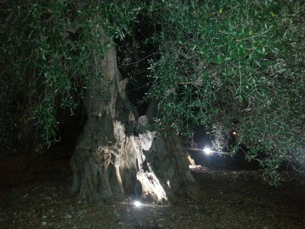 Willa La Piana Di Calena Peschici Zewnętrze zdjęcie